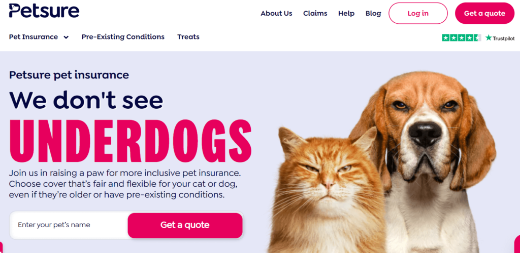 Promote Your Pet Blog